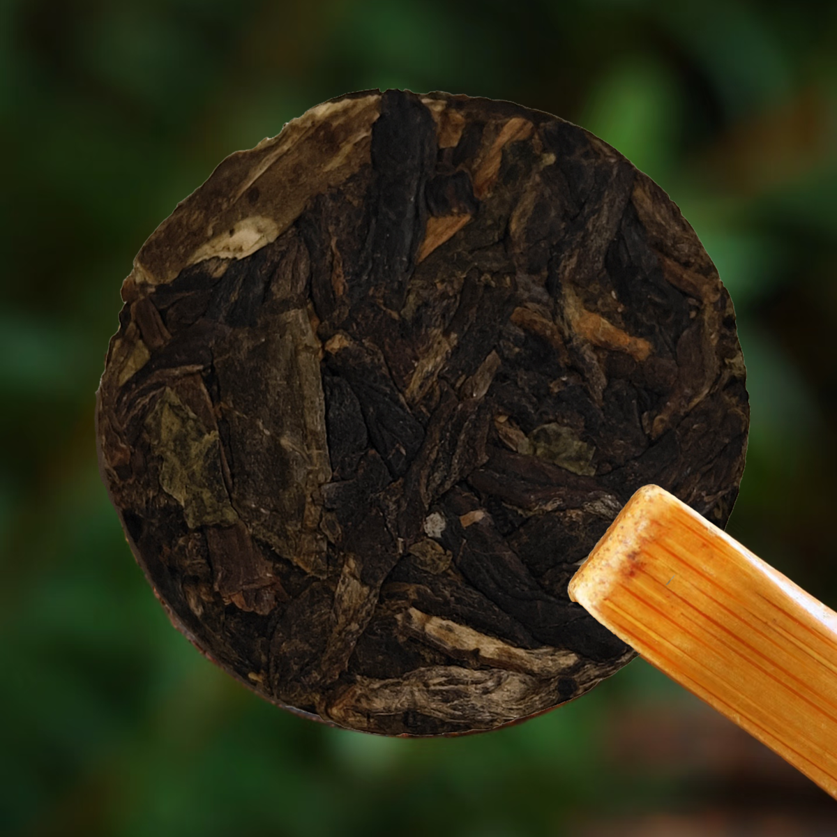 Tè Aromatico al Riso Glutinoso (Pu Erh Crudo)