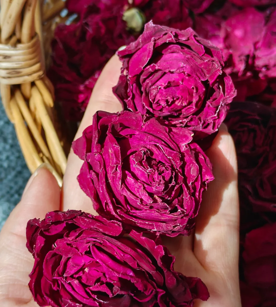 Tè alla Rosa Muo Hong di Yunnan