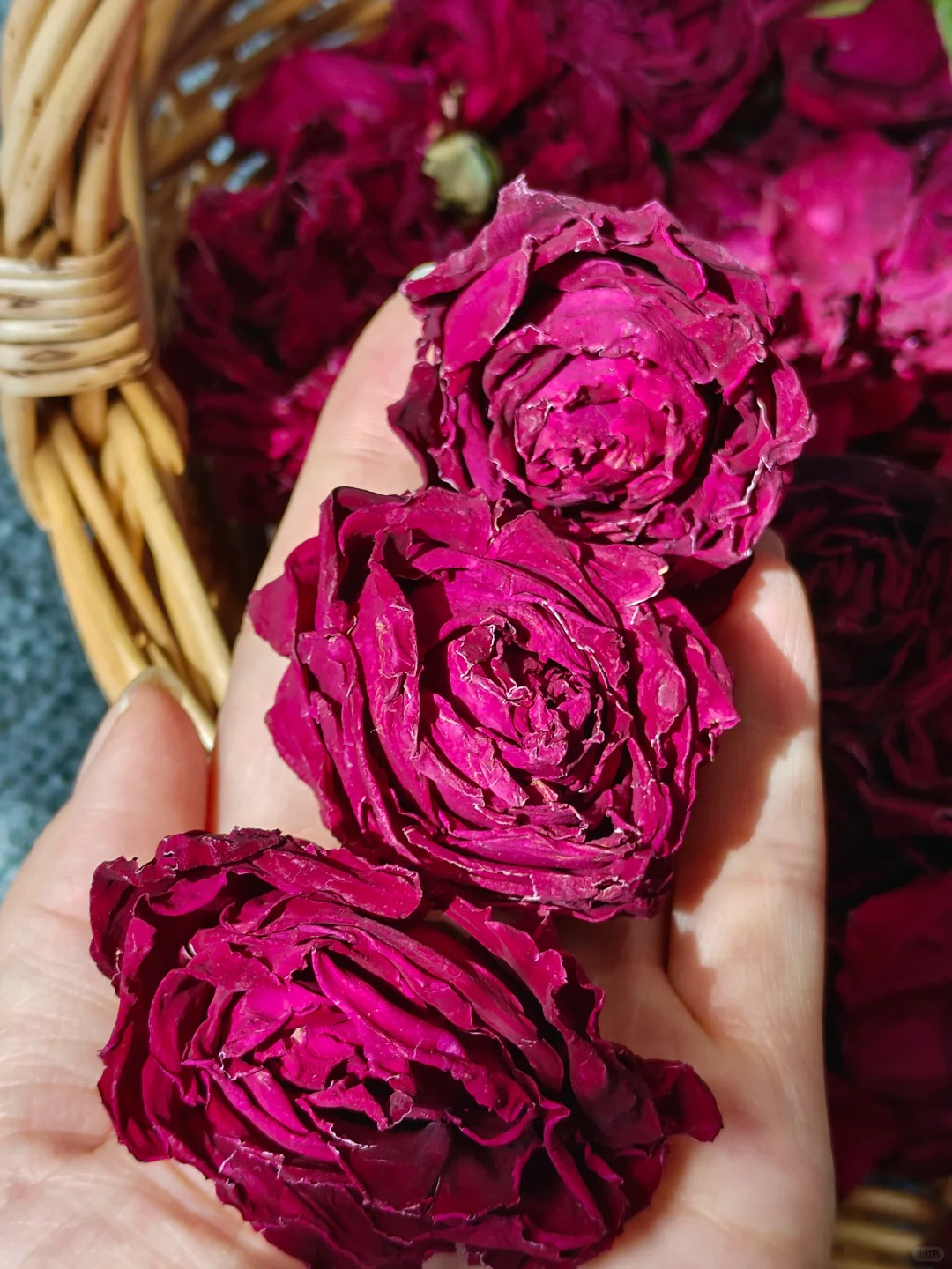 Tè alla Rosa Muo Hong di Yunnan