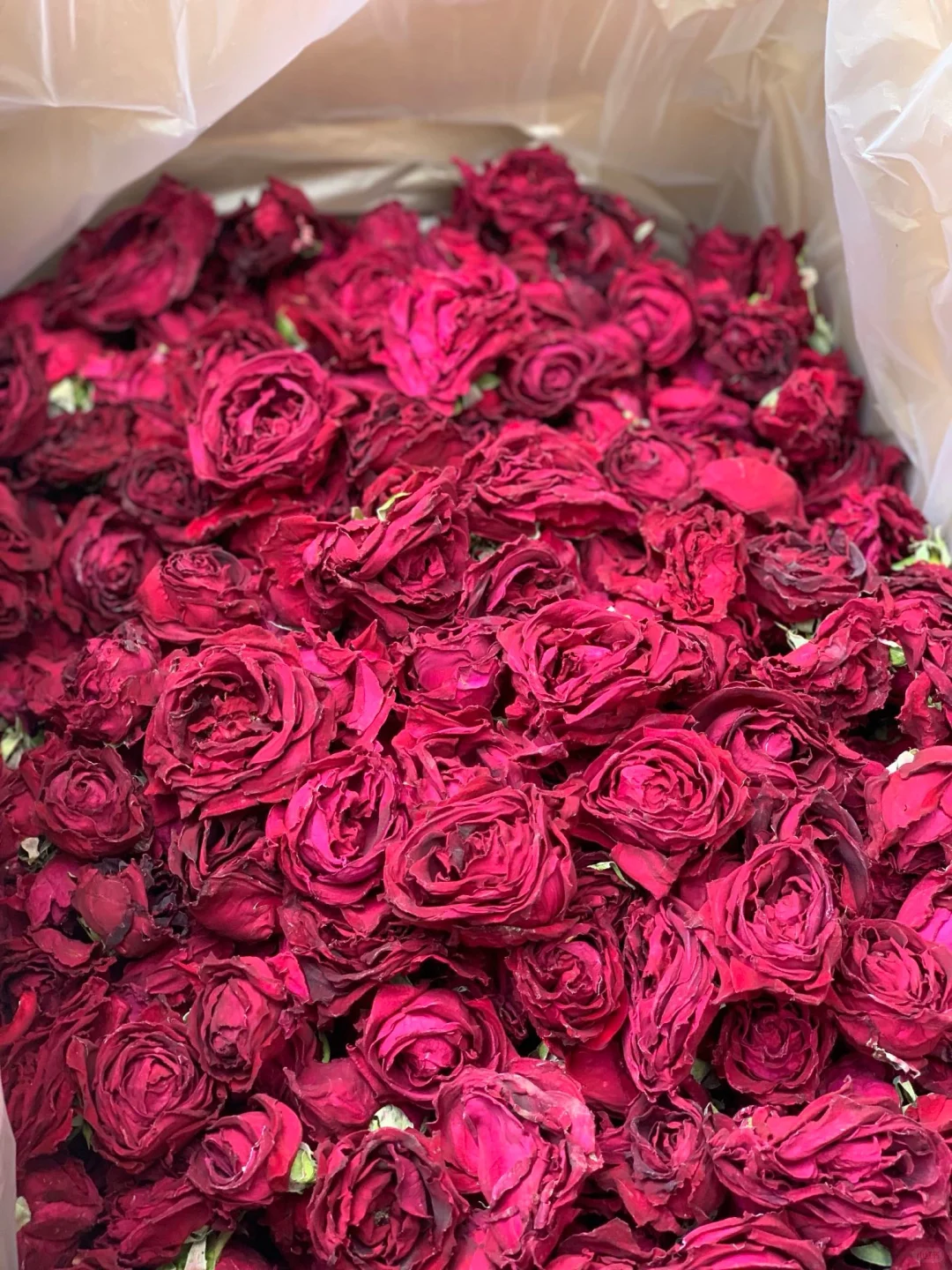 Tè alla Rosa Muo Hong di Yunnan